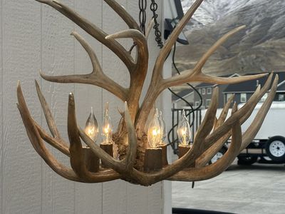 Deer Antler Chandelier