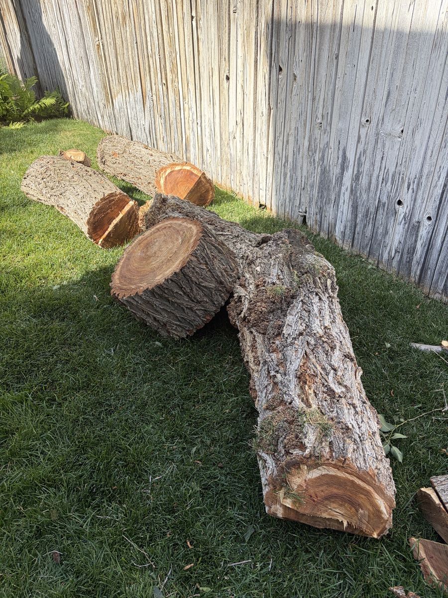 Free Firewood