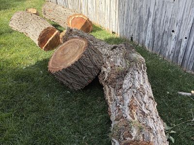 Free Firewood