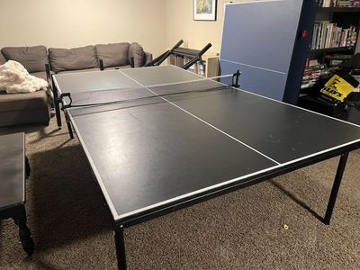Ping Pong Table