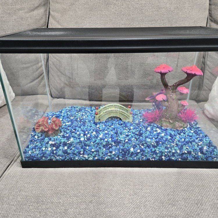 fish tank with racks