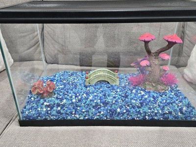 fish tank with racks