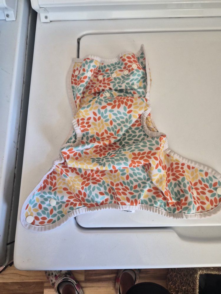 Free Reusable Diapers!