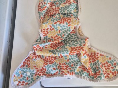 Free Reusable Diapers!