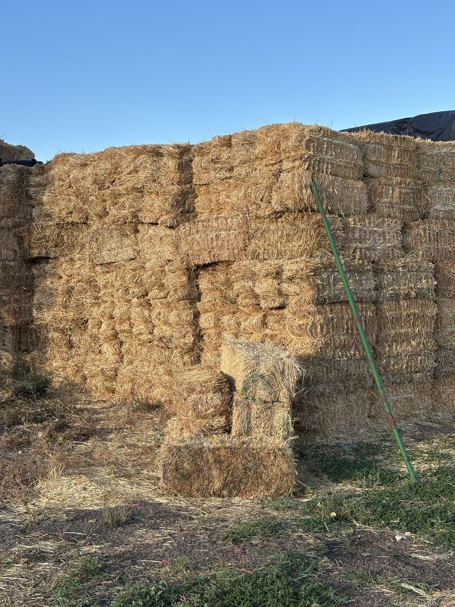 Small straw bales