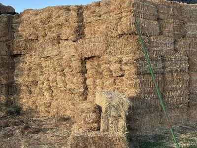 Small straw bales