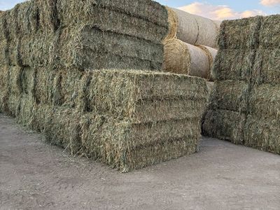Oat hay
