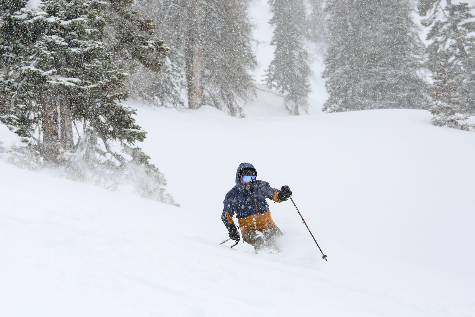 Snowbird/AltaTickets 2/21-2/22