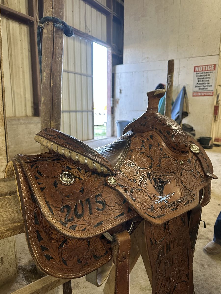Trophy saddle