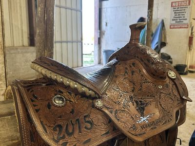 Trophy saddle