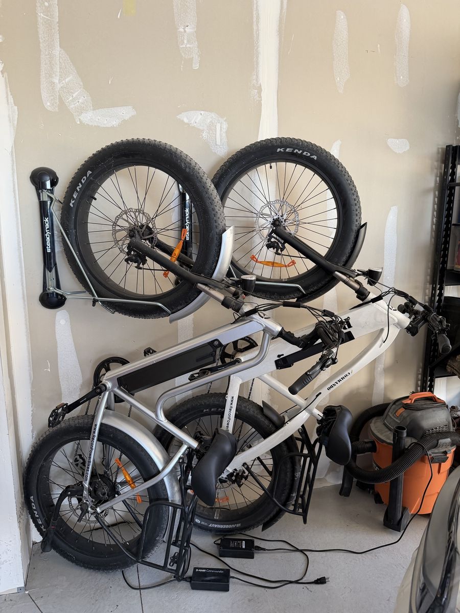 Recon electric bikes