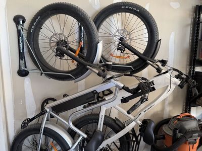 Recon electric bikes