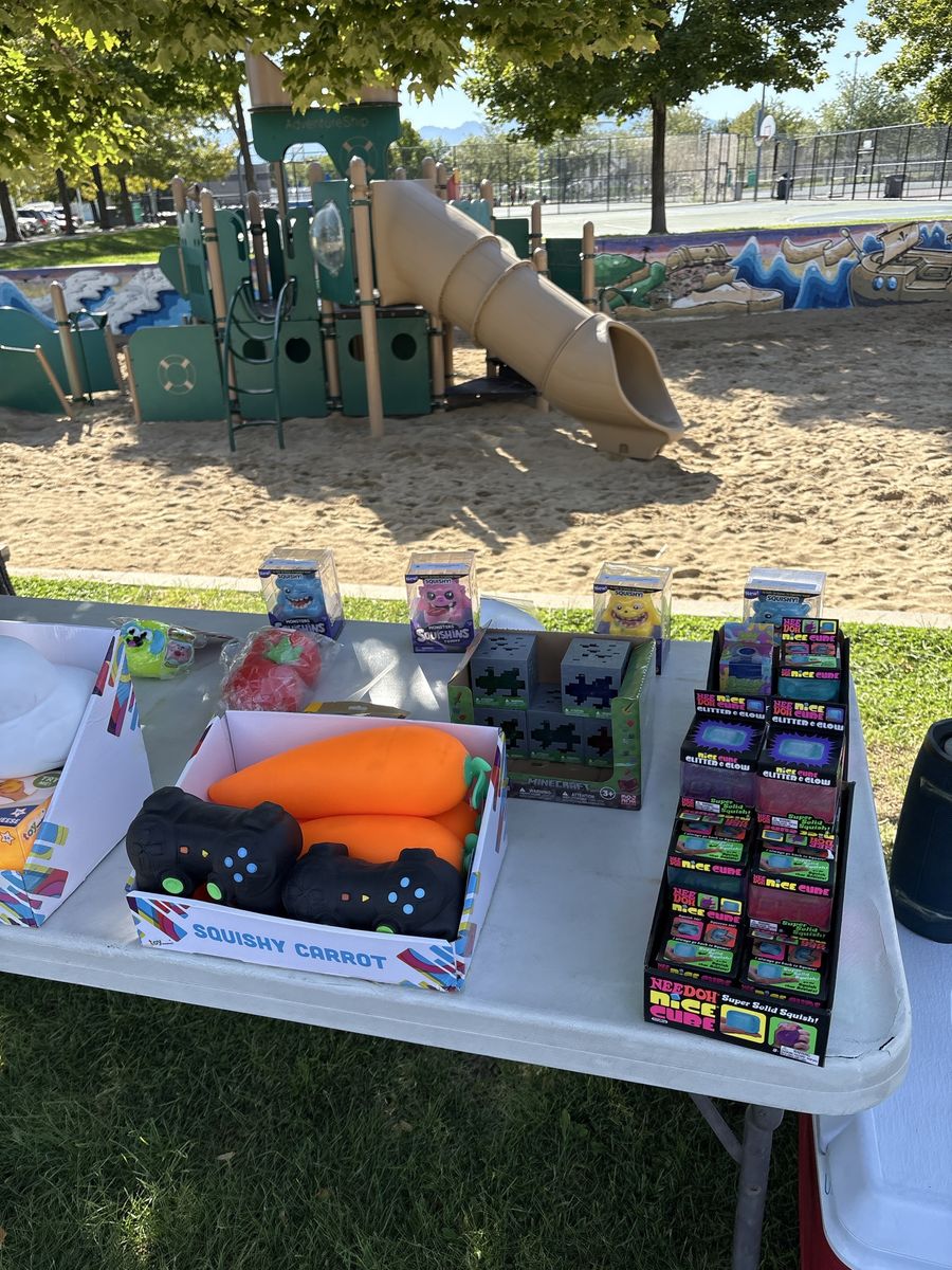 Assorted Novelty Squishy Fidget Toys Variety Pack      3189 S 5600 W, West Valley City, UT 84128 posted by the park  10-12pm