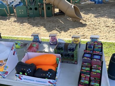 Assorted Novelty Squishy Fidget Toys Variety Pack 3189 S 5600 W, West Valley City, UT 84128 posted by the park 10-12pm