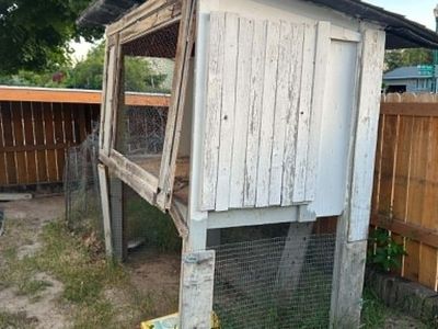 Free chicken coop.