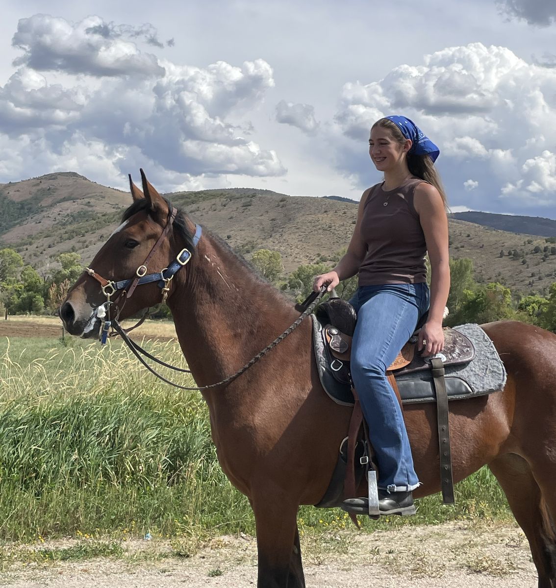 Green Broke, 14.3 hh, 7 y/o, Mustang Mare