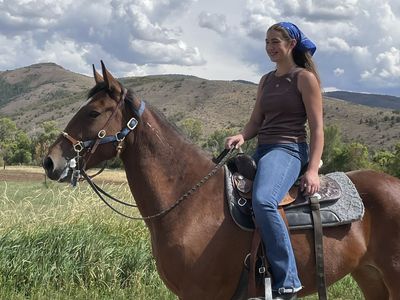 Green Broke, 14.3 hh, 7 y/o, Mustang Mare