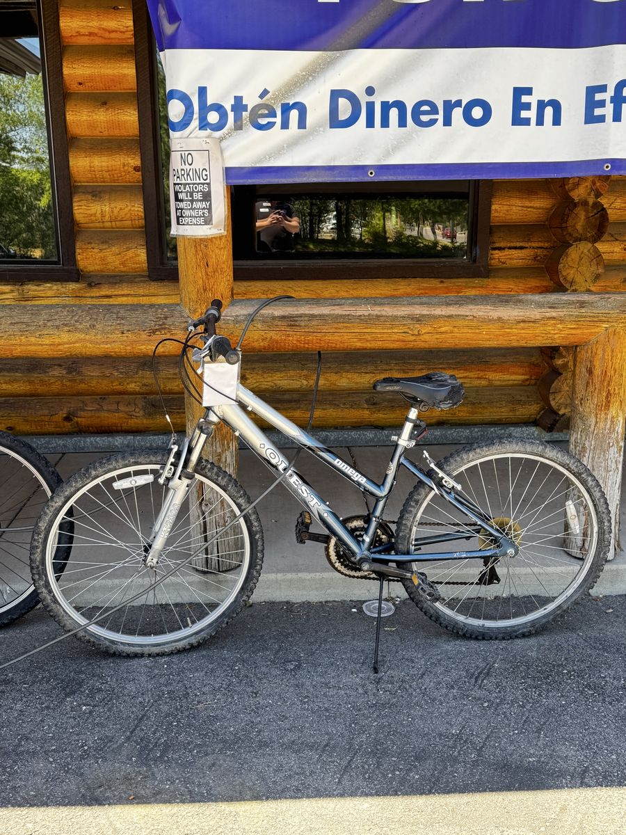Omega Quest Mountain Bike - Silver/Black, Hardtail, Adult Size