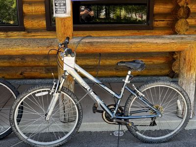 Omega Quest Mountain Bike - Silver/Black, Hardtail, Adult Size