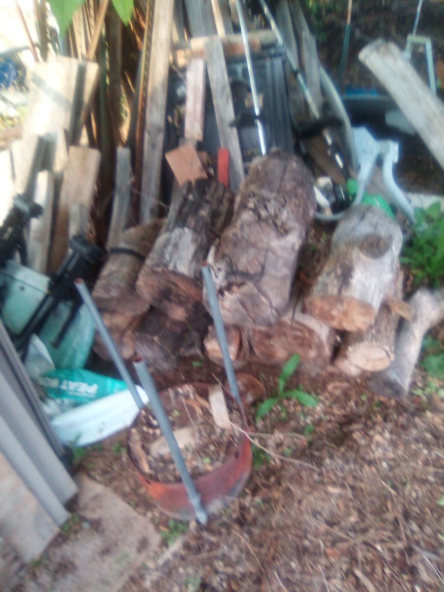 Firewood for camping or backyard