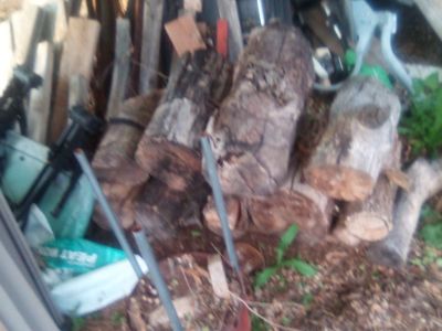 Firewood for camping or backyard