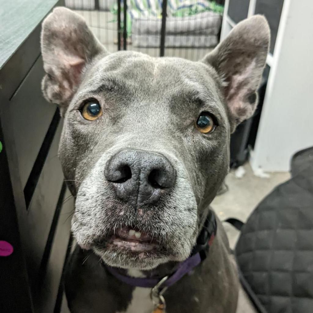 Hello my name is Superman