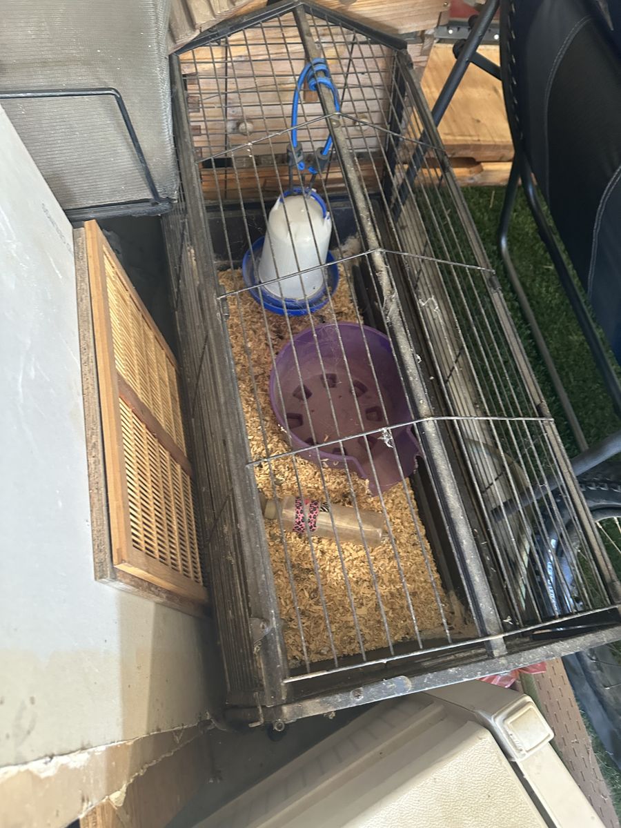 Pet cage