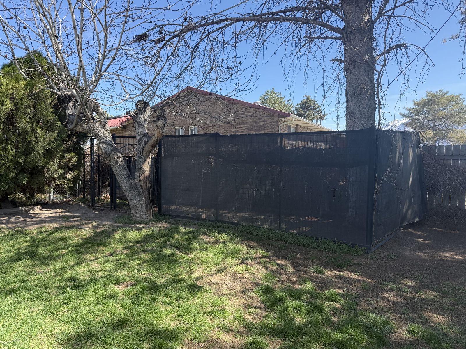 Priefert Dog Kennel 30’ x 10’ w/ Door Panel