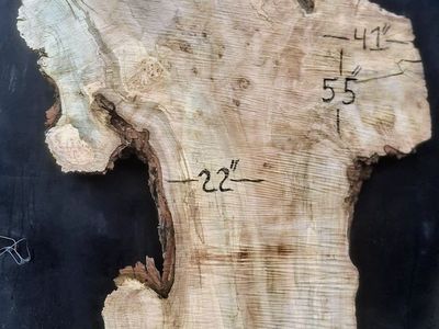 Spalted Maple wood live edge slab