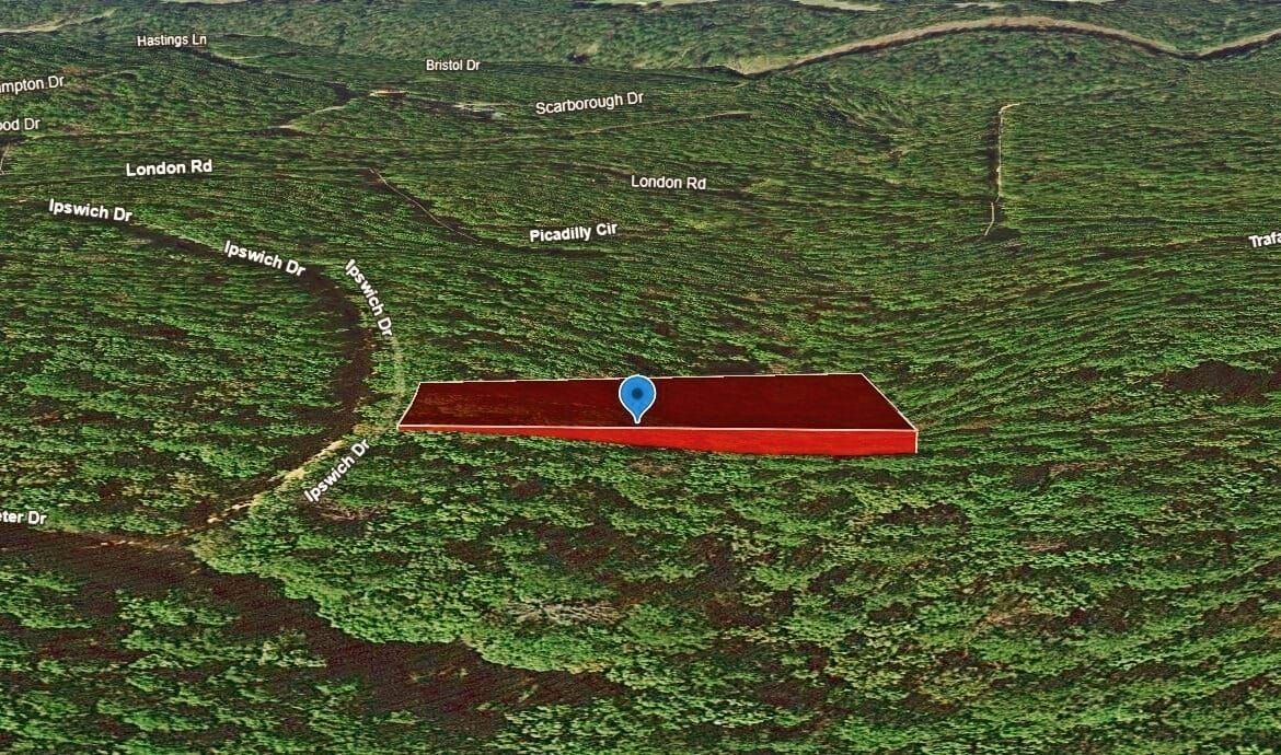 Main image 11