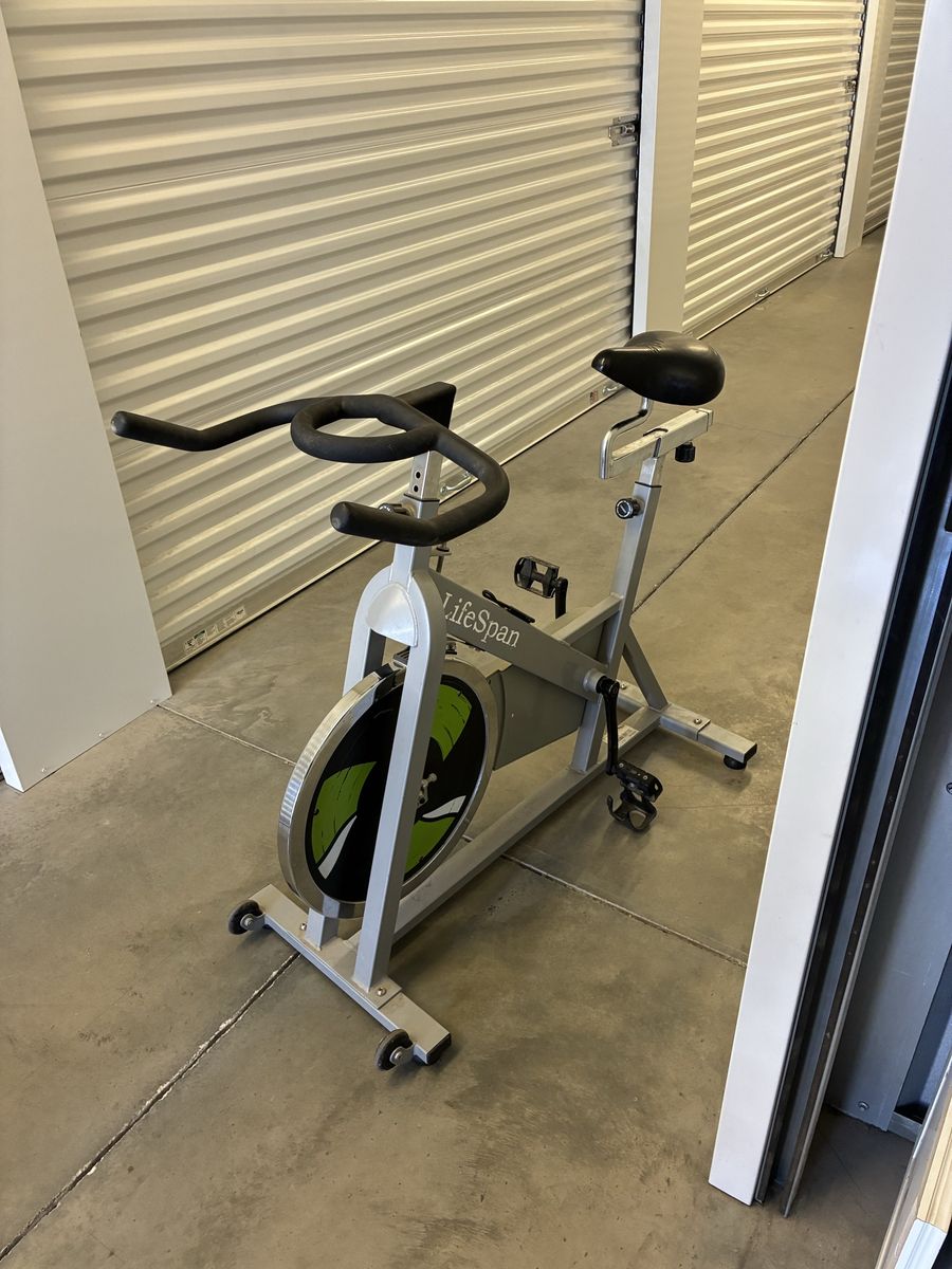 LifeSpan Exercise Bike Indoor Cycling Stationary Bicycle