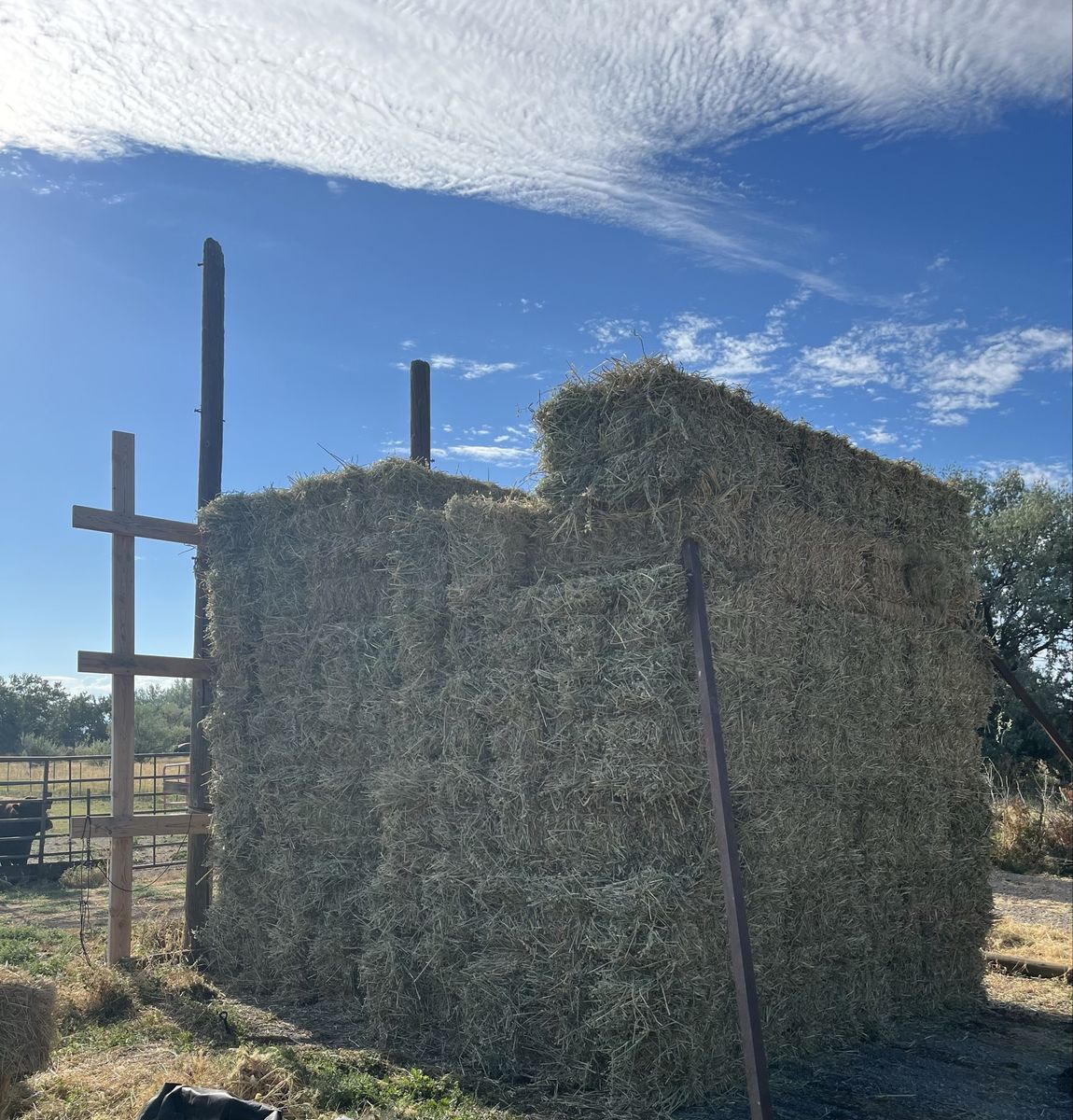 Oats/Alfalfa Hay Bales