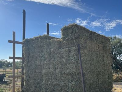 Oats/Alfalfa Hay Bales