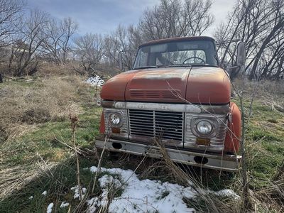 Farm full of non running cars