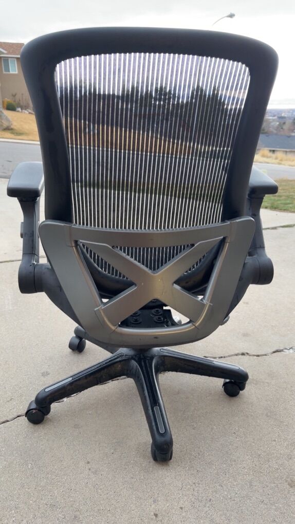 Costco Bayside Ergonomic Office Gaming Chair