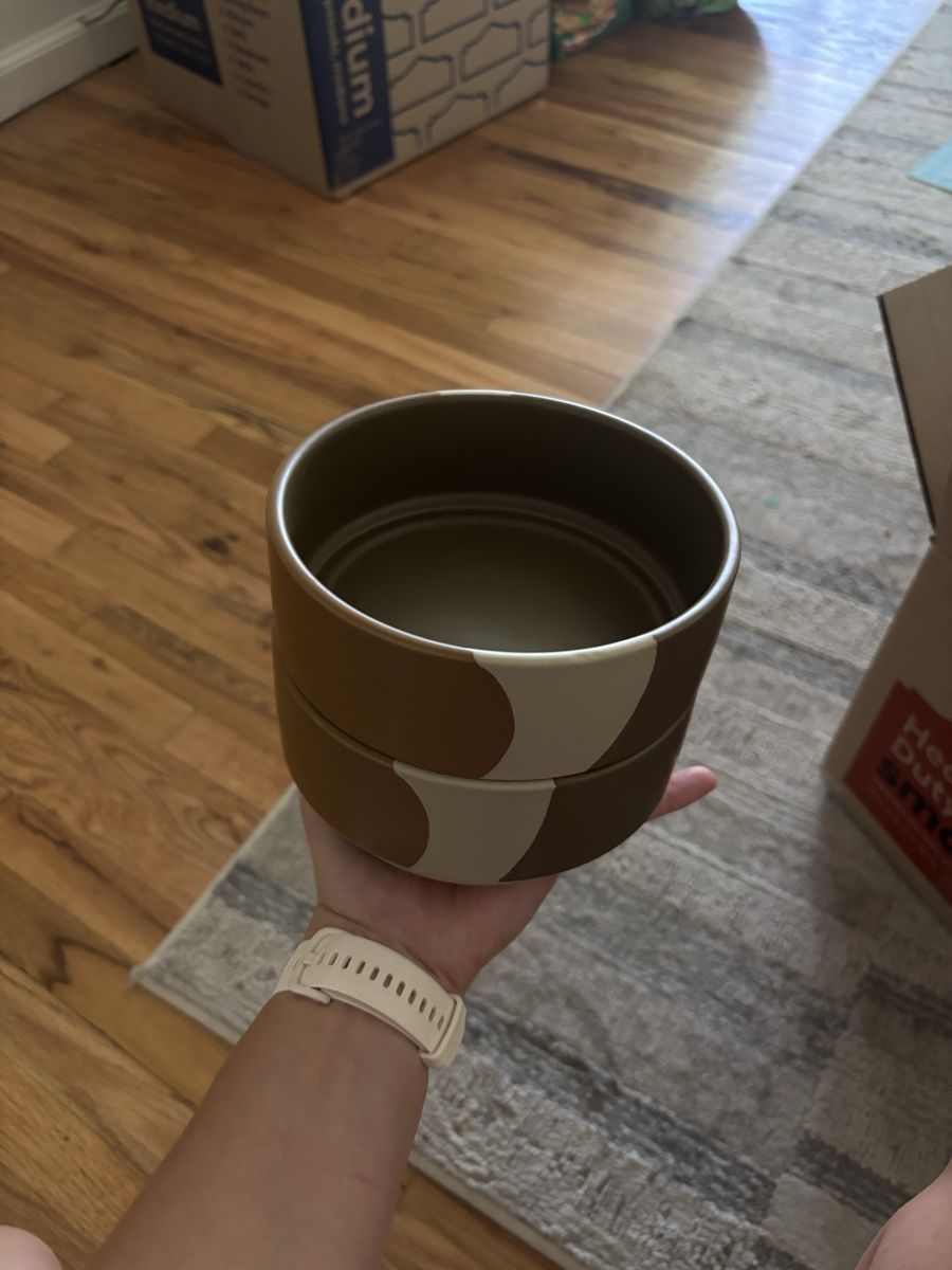 Dog bowls