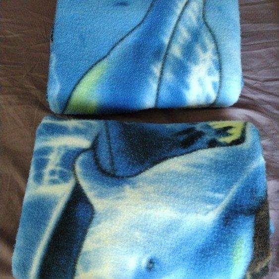 Fleece Blankets