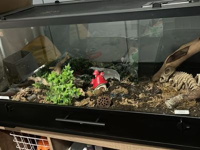 40 G tank with 4 locks and drawer