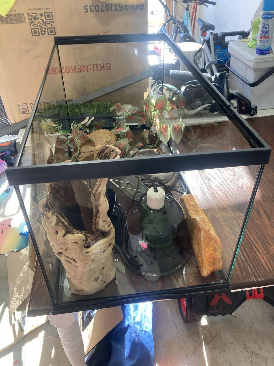 40 gallon tank+decorations