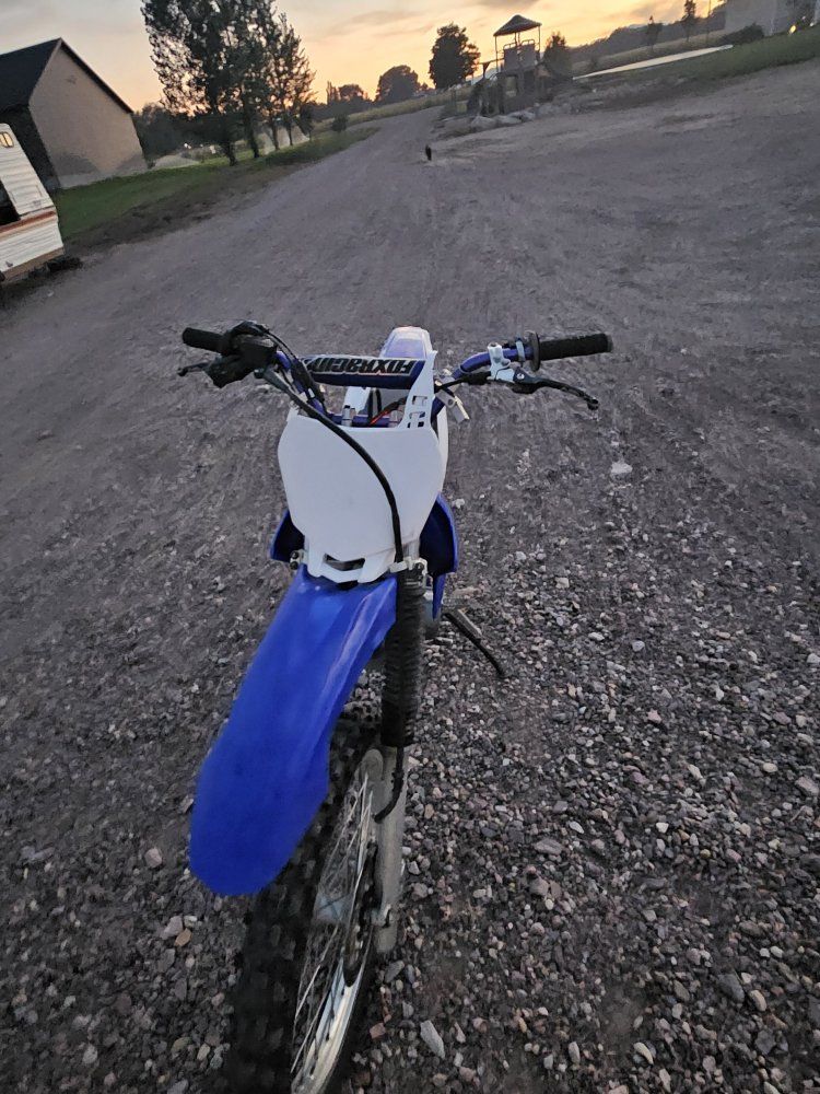 Main image 7