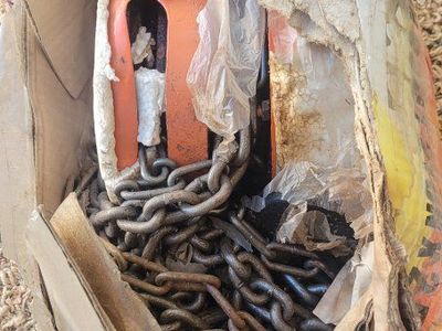 Chain hoist 2 ton