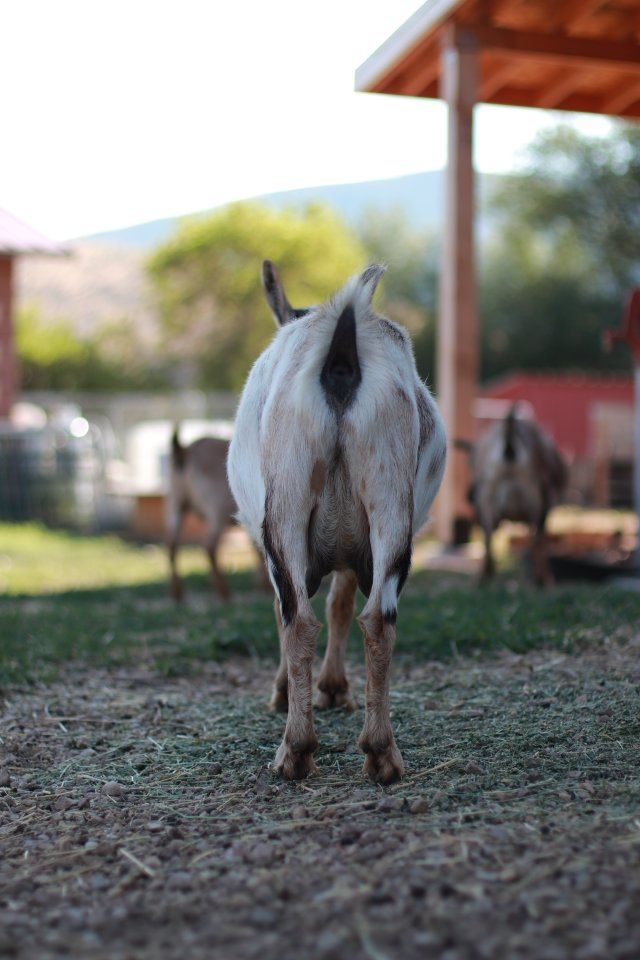 Main image 13