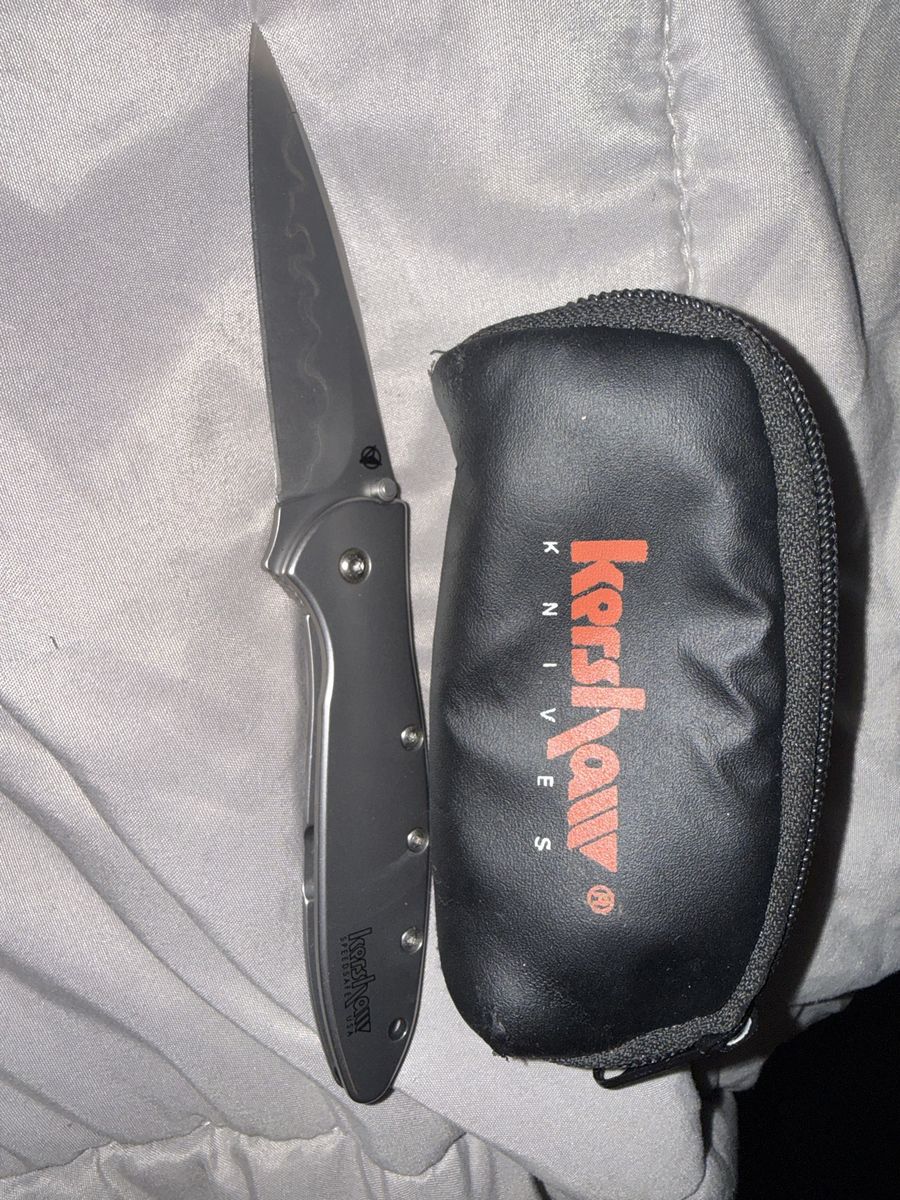 Kershaw 1660CB Leek Ken Onion Design CPM-D2 Folding Knife with Case