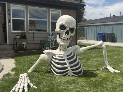 Giant Skeleton Yard Decoration - Halloween Prop