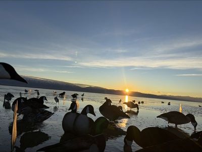 Divebomb Canada Silos