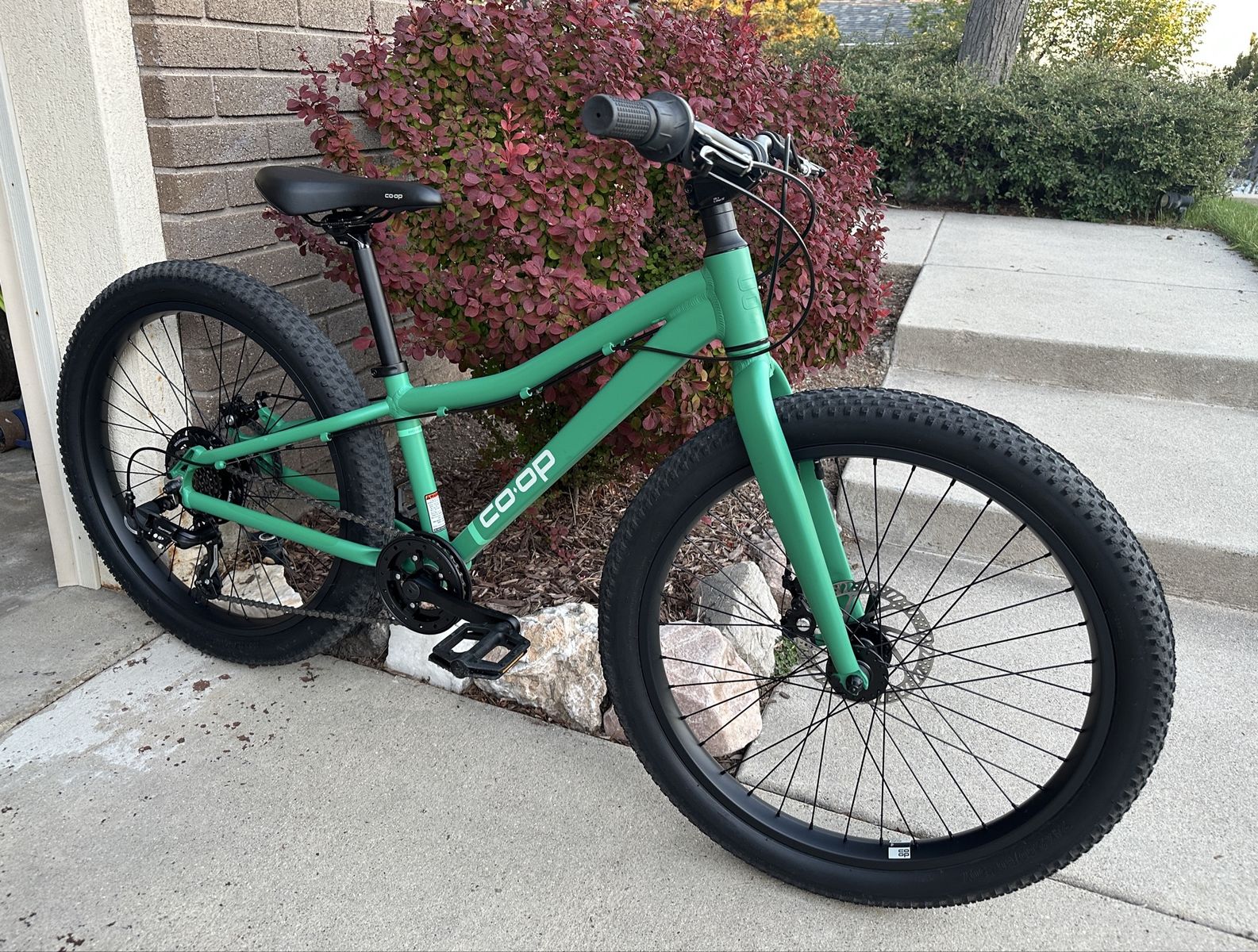 REI CO-OP REV 24 LIKE NEW kids bike