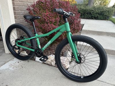 REI CO-OP REV 24 LIKE NEW kids bike