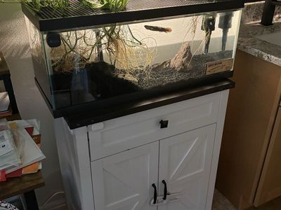 Tank, filter tank stand