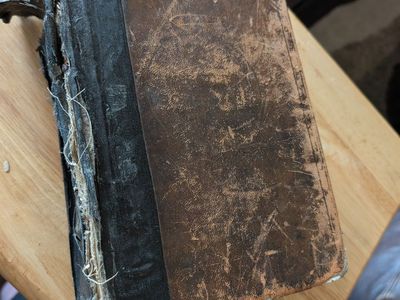 Vintage dictionary 1912 Webster