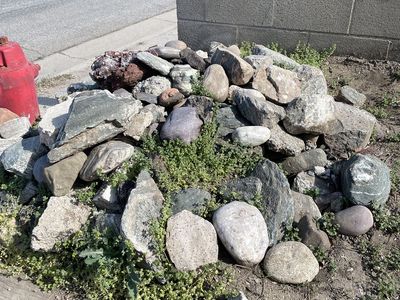 Free Landscaping Rocks